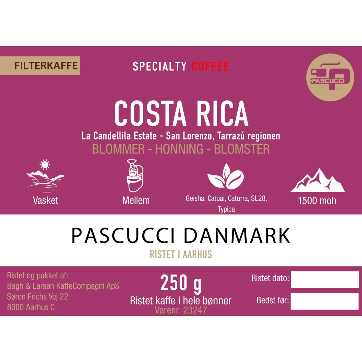 COSTA-RICA-Candelilla-250-g.w1220.h1220.backdrop (1)